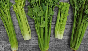 Useful properties of celery, leaves!