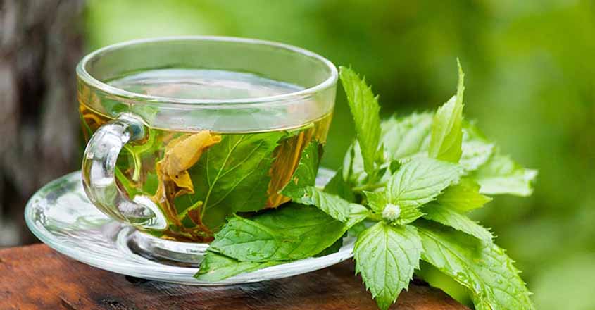 Incredible Green Tea Benefits